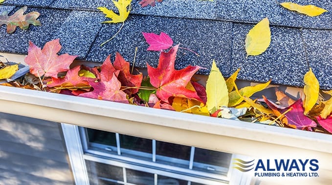 Fall DIY Maintenance for Edmonton Homes