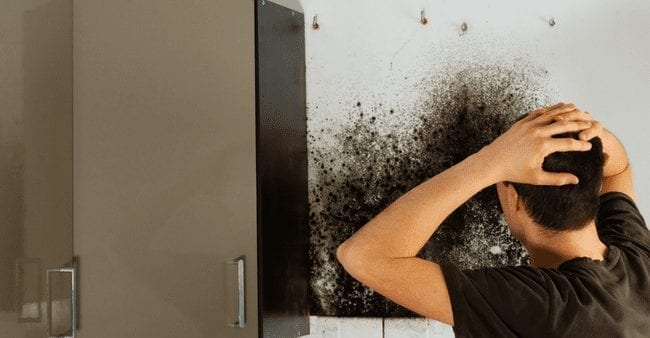 Detecting hidden plumbing leaks