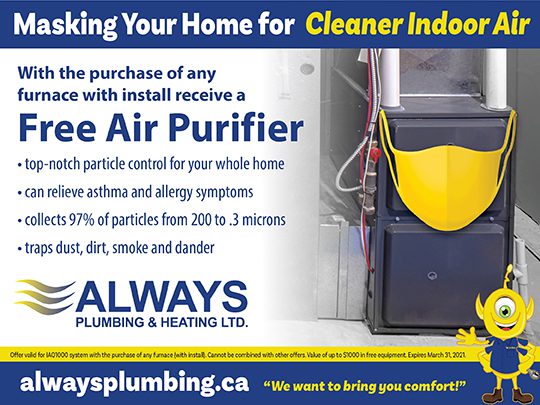 free air purifier