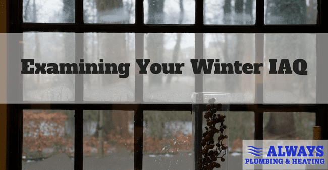 Examining the Winter IAQ in Your Edmonton Home