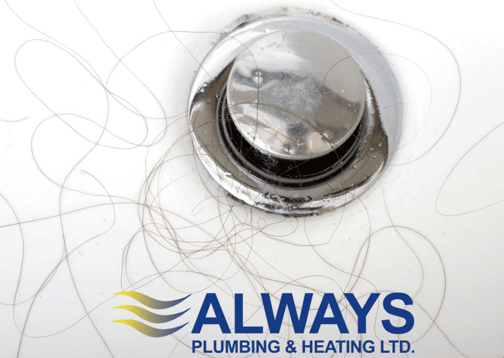 How to Keep Hair out of Your Drain – the Easy Way! - Gillece Services