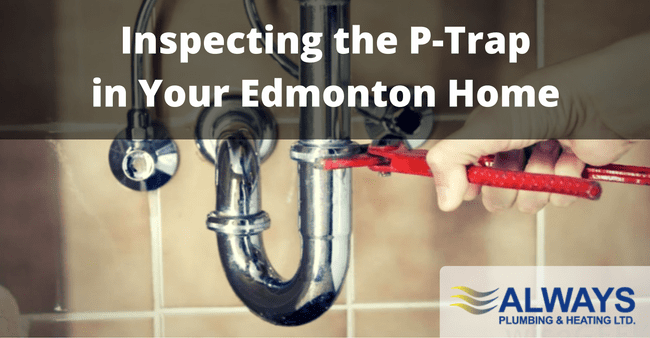 Inspecting the P-Trap in Your Edmonton Home