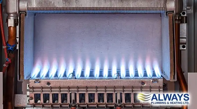 Winter Boiler Maintenance Image