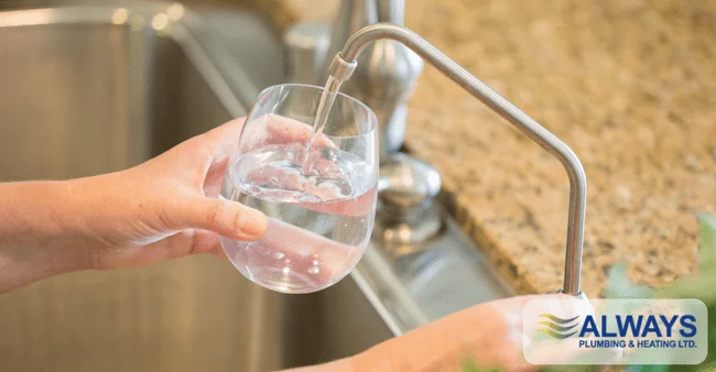 Water Softeners: Here’s Why Homeowners Request Water Filtration Systems for Luxury Builds Image